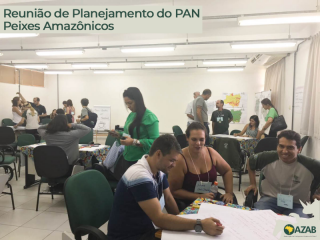 REUNIÃO DE PLANEJAMENTO DO PAN PEIXES AMAZÔNICOS